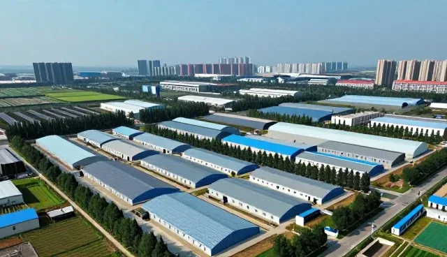 域名管理常见问题与解决方案解析